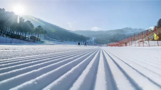 天橋溝滑雪場