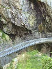 Cuevas de Skocjan