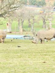 郎利特野生動物園