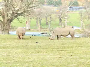 郎利特野生動物園