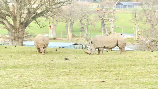 Longleat Safari & Adventure Park