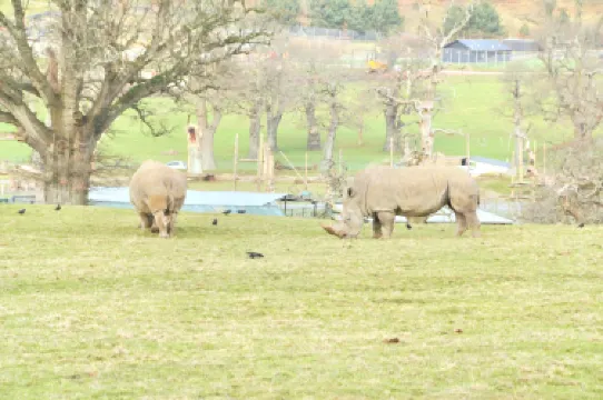 郎利特野生動物園