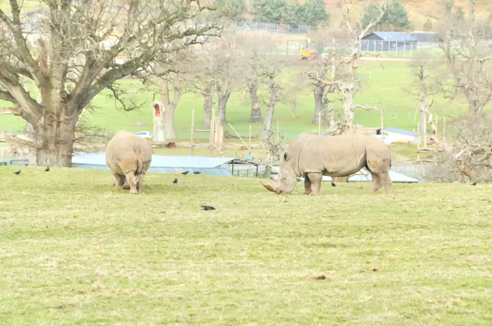2_Longleat