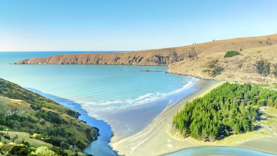 紐西蘭基督城莎瑪拉羊駝牧場+班克斯半島一日遊