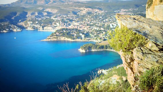 Cassis
