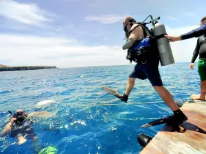 ショール湾