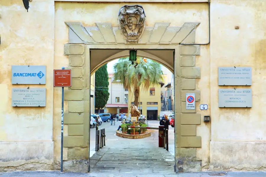 Museo di Geologia e Paleontologia - Università di Firenze