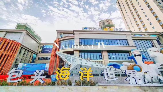 바오터우