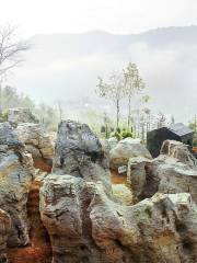 Xidi Stone Forest Scenic Area