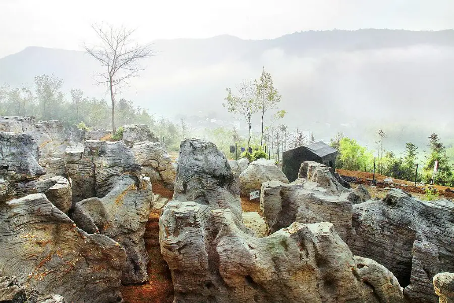 Xidi Stone Forest Scenic Area