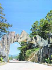 Stone Dragon Valley Forest Amusement Park