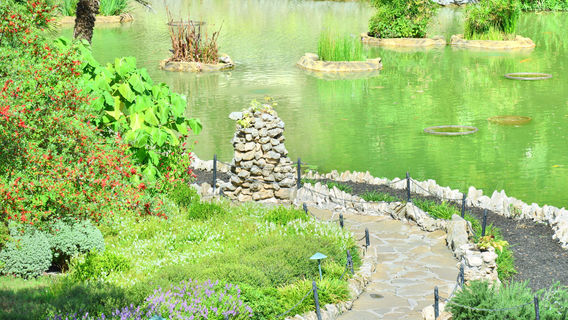 Джапанес Ти Гарден