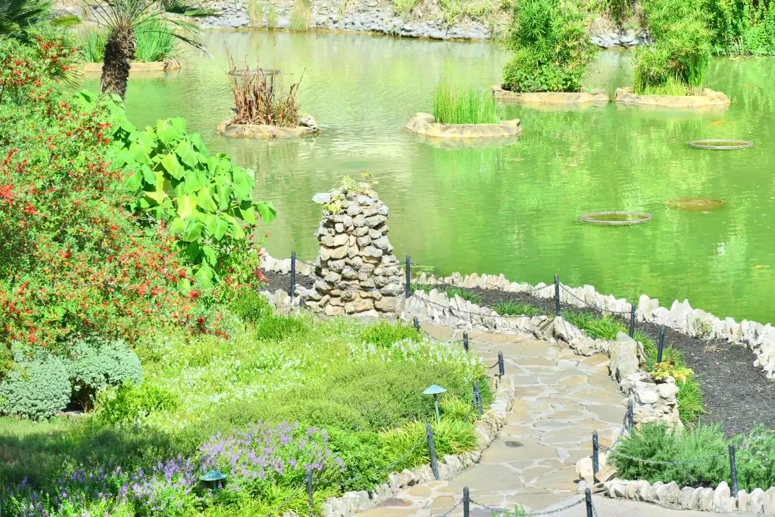 Hotels near Japanese Tea Garden