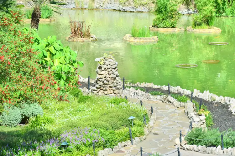 Hotels near Japanese Tea Garden