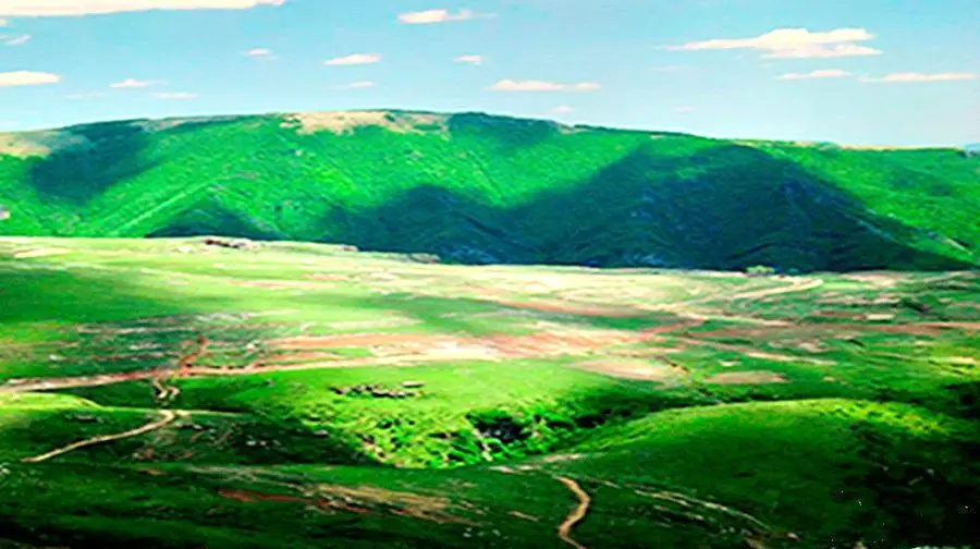 Feihu Valley · Grassland in the Sky