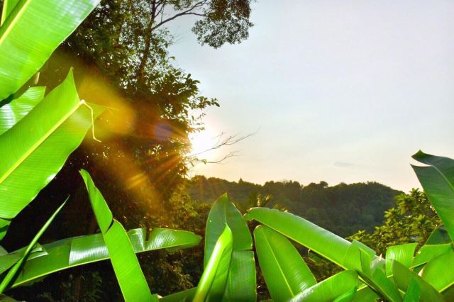 Ishan Malaysian Spa