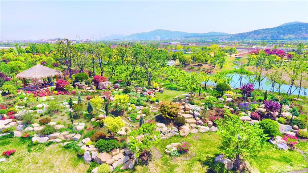 Jiulong Bay Flower Planet