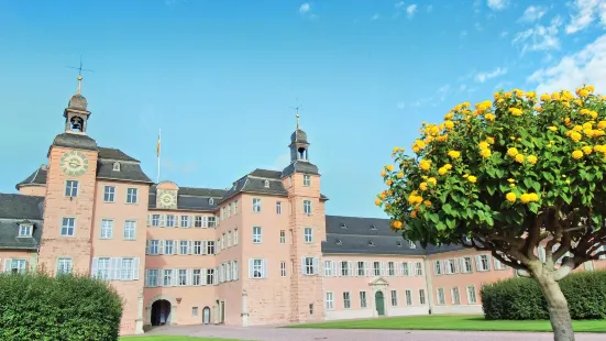 Schwetzingen Castle (Schloss)