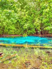 Emerald Pool