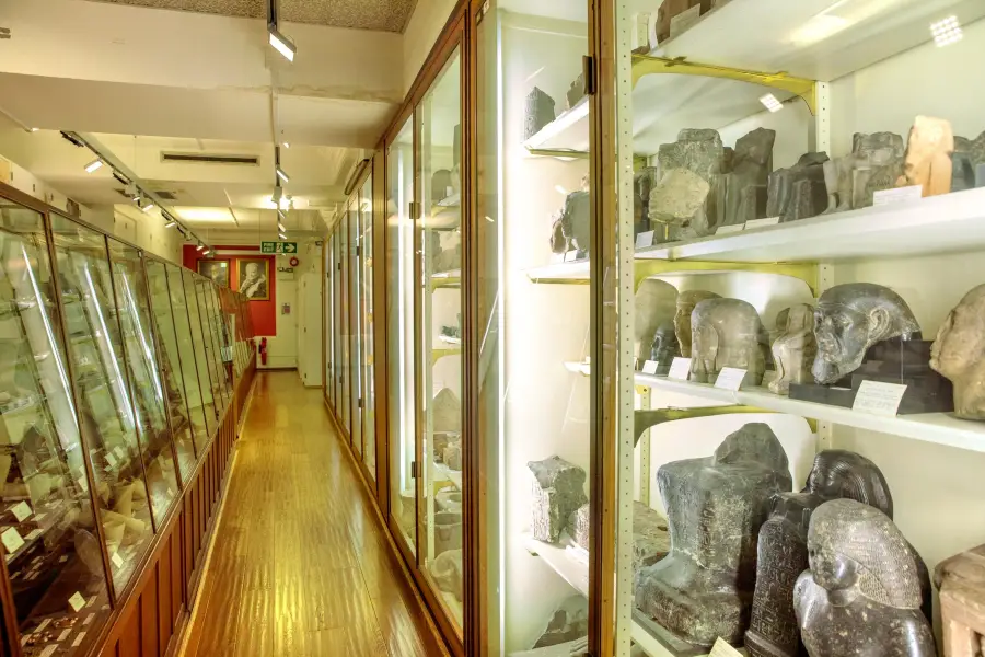 Музей египетской археологии Питри