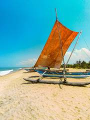 Negombo Beach