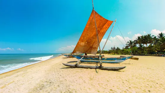 Negombo Beach