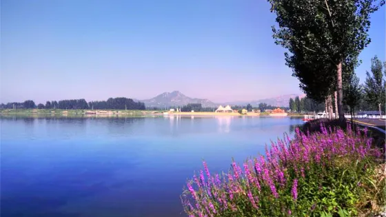 仙河花海生態樂園
