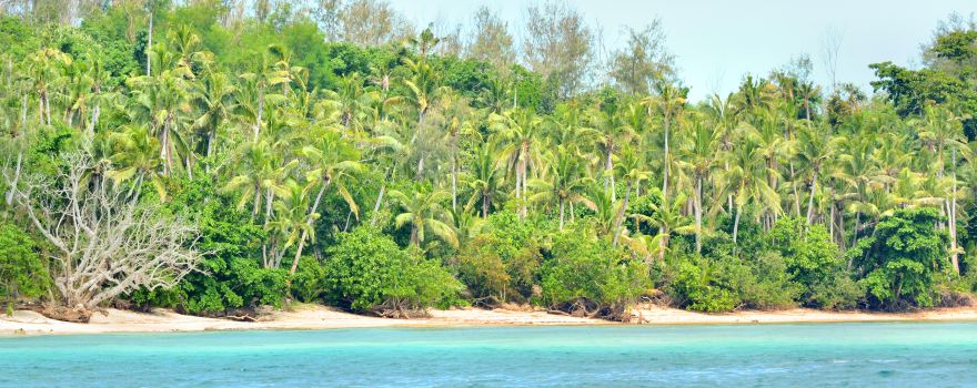 Turtle Island