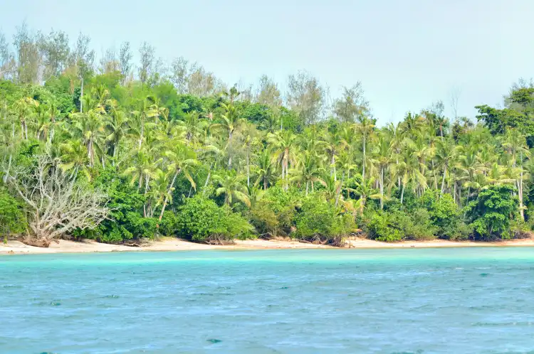 Hotels in Turtle Island