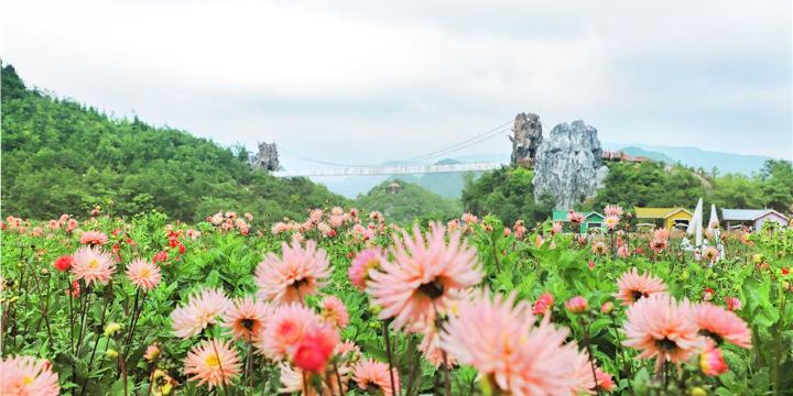 Yi Mountain Flower Valley Scenic Area