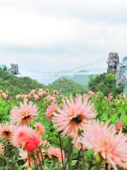 陽光雲漫1660彝山花谷