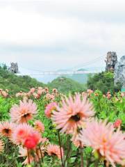 Yi Mountain Flower Valley Scenic Area