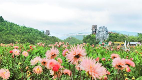 Yi Mountain Flower Valley Scenic Area