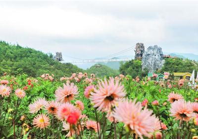 陽光雲漫1660彝山花谷