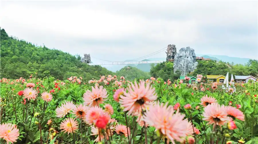 Hotel dekat Yi Mountain Flower Valley Scenic Area
