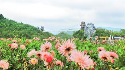 Yi Mountain Flower Valley Scenic Area