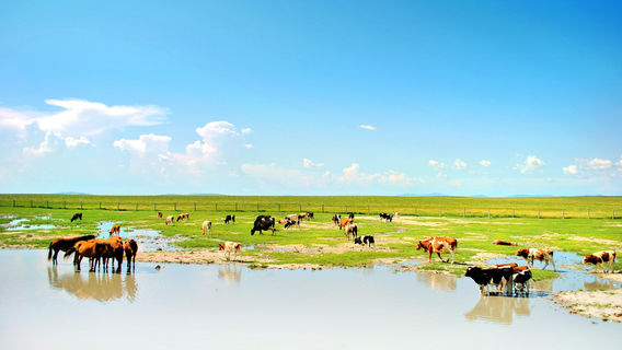 Hulunbuir