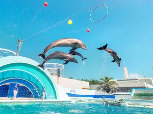 Kamogawa Seaworld