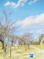 히가시 야마토미나미 공원