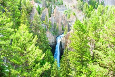 Tower Fall