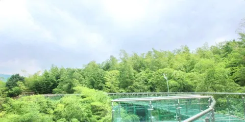竹尖玻璃棧道