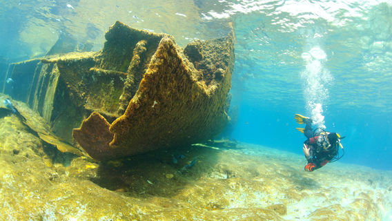 Sharm El-Sheikh