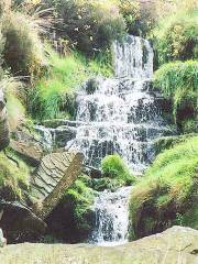 Bronte Waterfall
