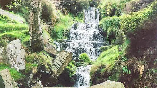 Bronte Waterfall