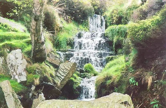 Bronte Waterfall