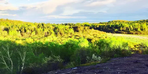 Hartley Nature Center