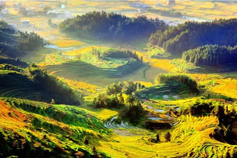 Ziquejie Terraces