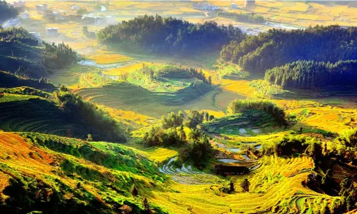 Ziquejie Terraces