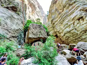 Butterfly Valley