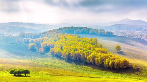 Bashang Grasslands